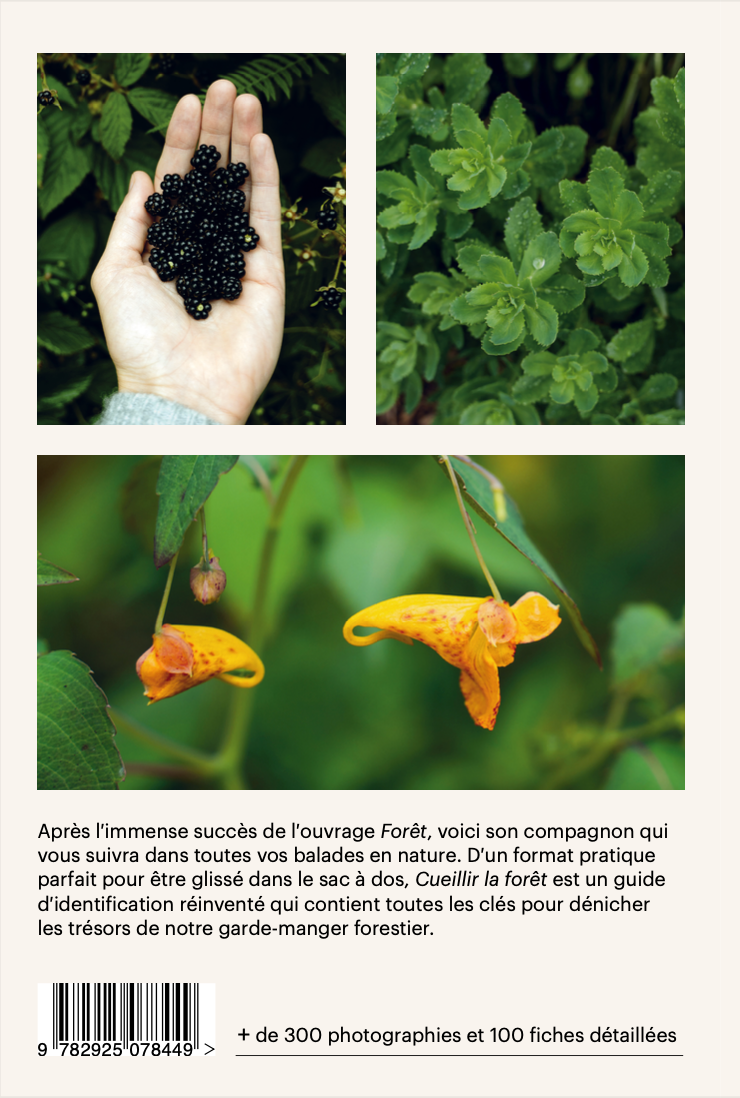 Harvest the forest. Wild Plant Identification Guide