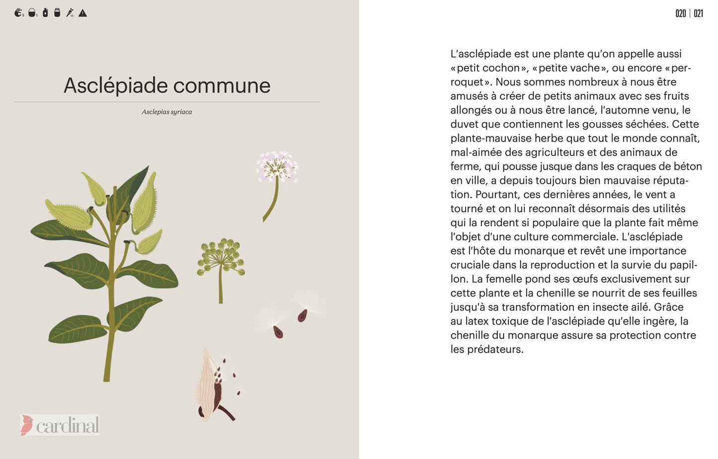 Forest. Identify, pick, cook