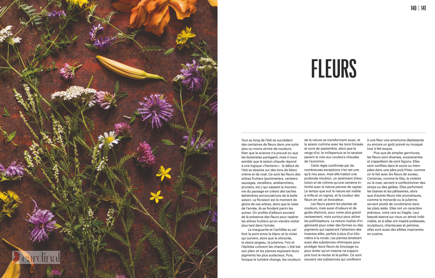 Forest. Identify, pick, cook