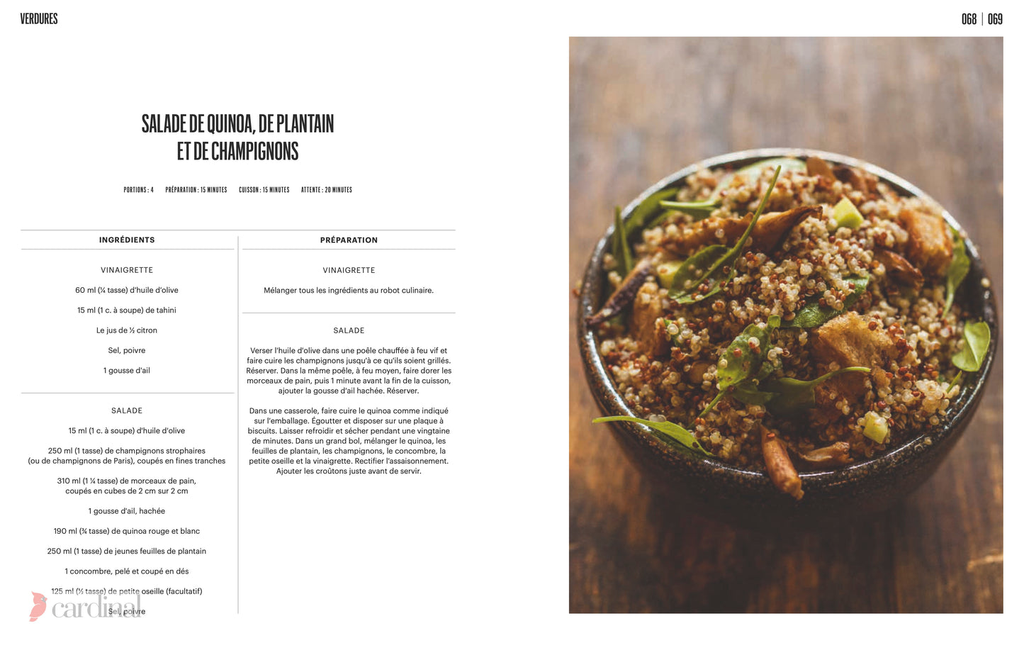 Forest. Identify, pick, cook