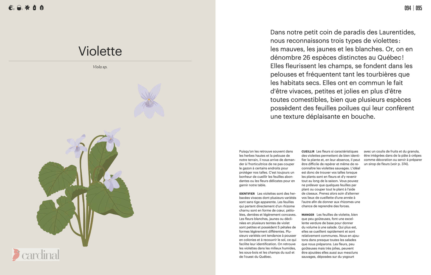 Forest. Identify, pick, cook