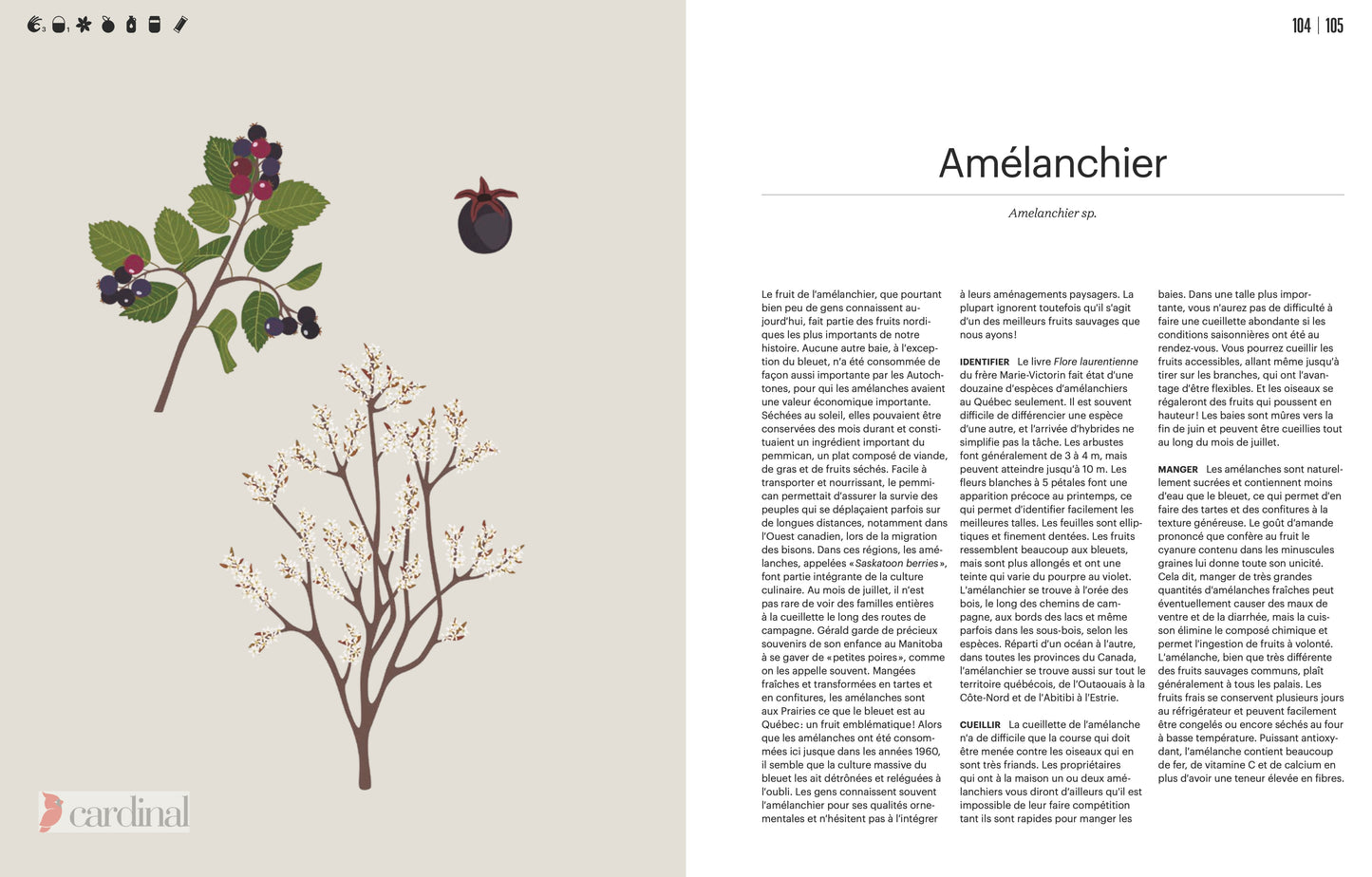 Forest. Identify, pick, cook