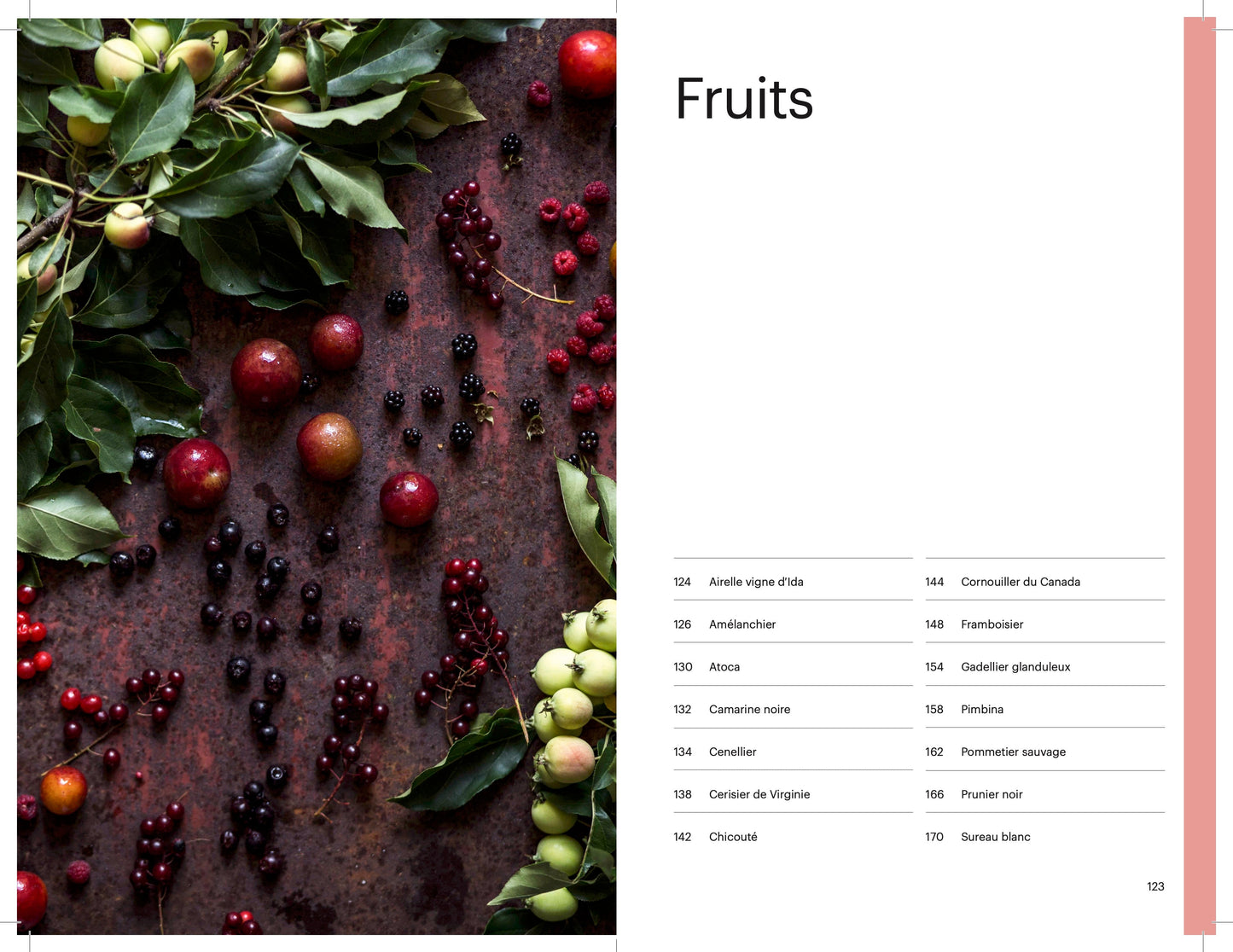 Harvest the forest. Wild Plant Identification Guide