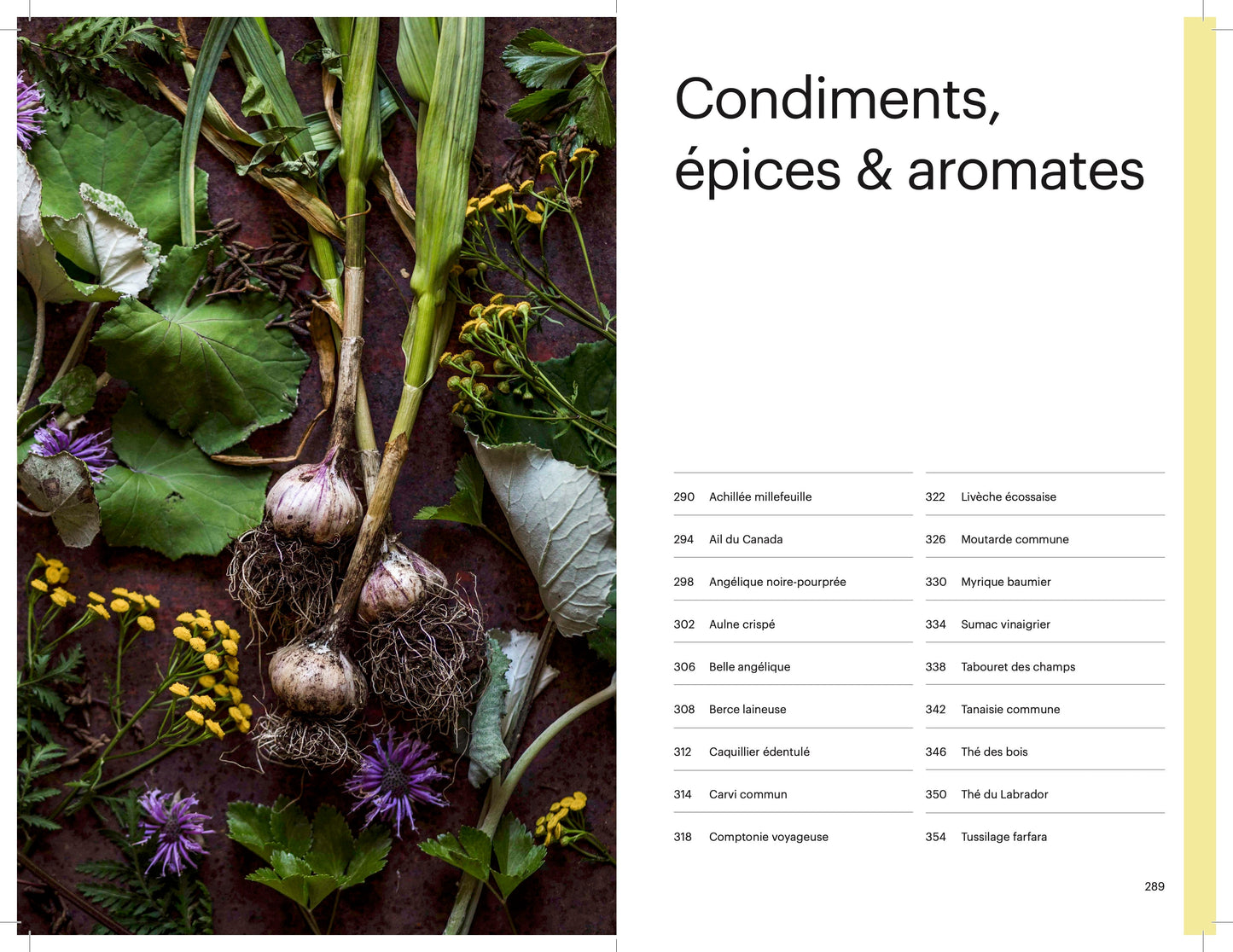 Harvest the forest. Wild Plant Identification Guide