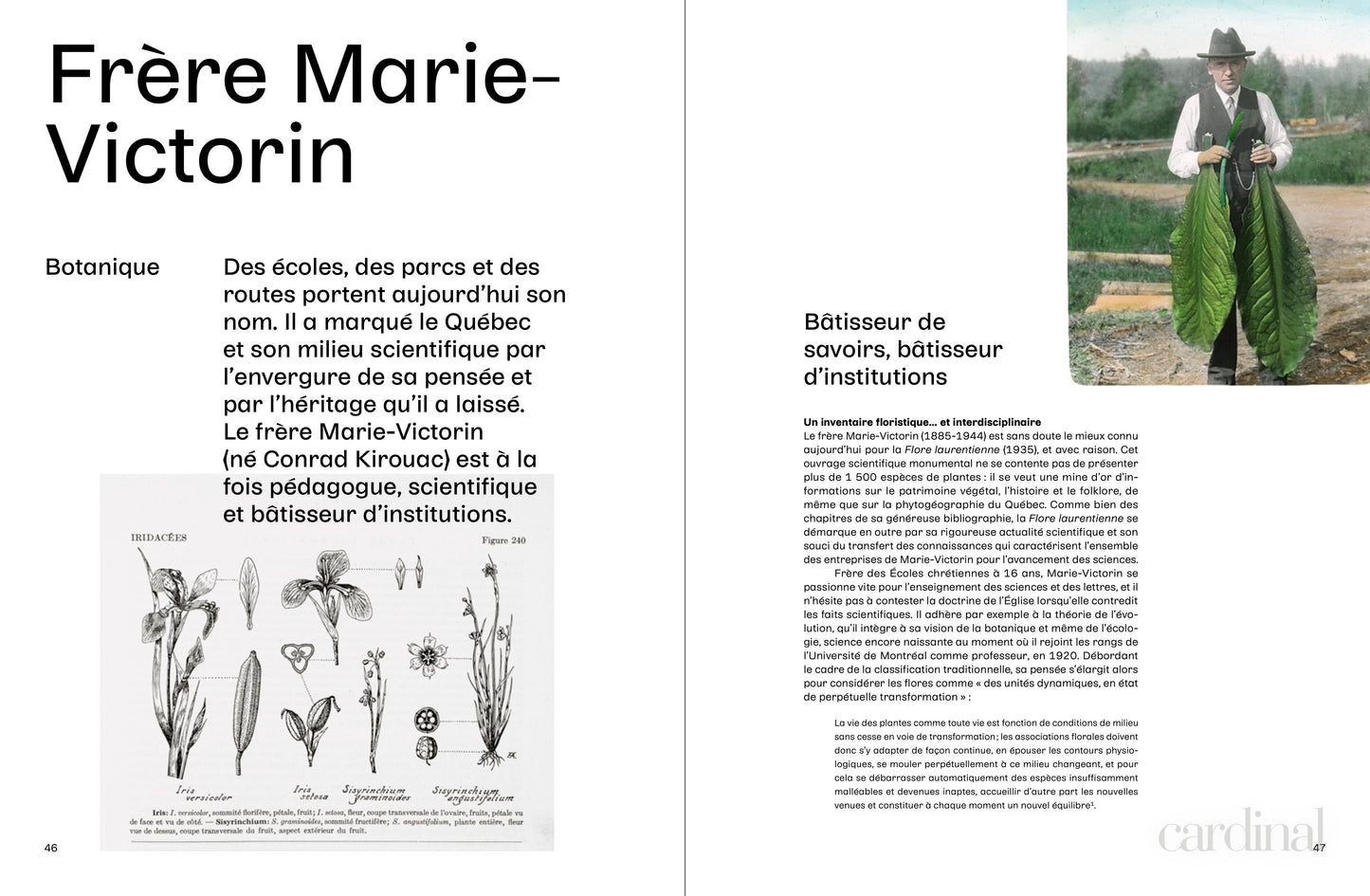 Faire connaissance [LIVRE NUMÉRIQUE]