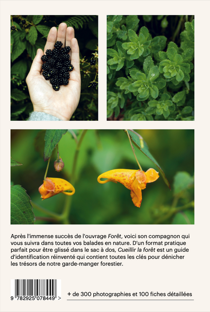 Harvest the forest. Wild Plant Identification Guide [PAPER]