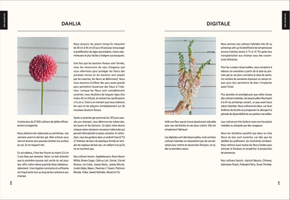 Floramama. From garden to bouquet: everything about growing flowers [PAPER]