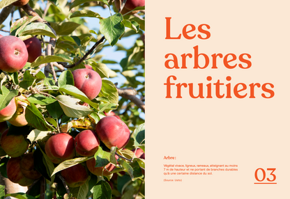 La fleur et le fruit - Réussir son jardin fruitier au Québec