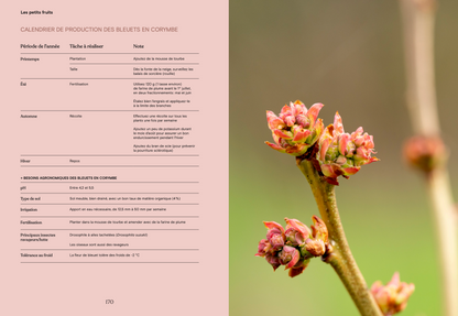 La fleur et le fruit - Réussir son jardin fruitier au Québec