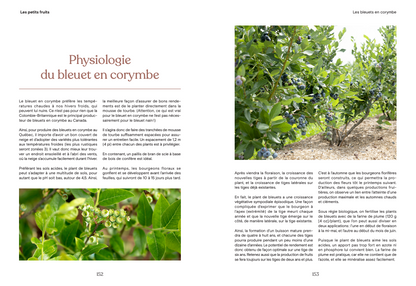La fleur et le fruit - Réussir son jardin fruitier au Québec