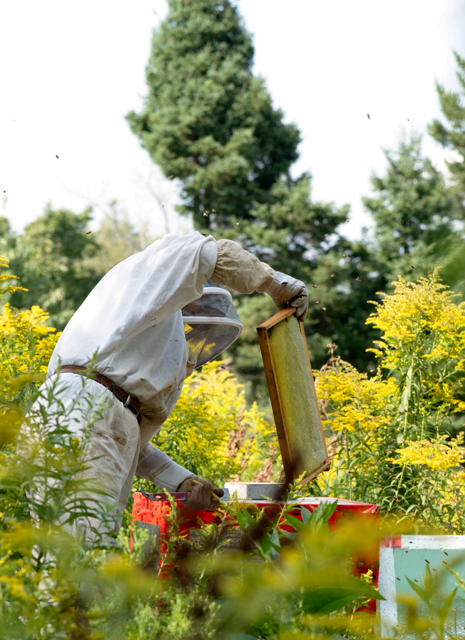 La fleur et le fruit - Réussir son jardin fruitier au Québec