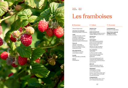 La fleur et le fruit - Réussir son jardin fruitier au Québec  [LIVRE NUMÉRIQUE]