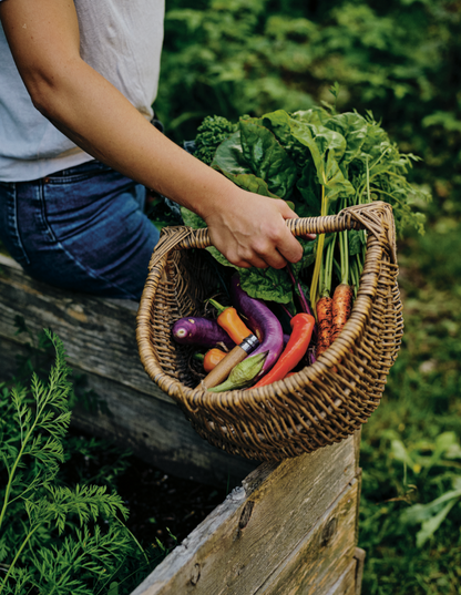 Dans mon jardin — Récoltez enfin l'abondance!