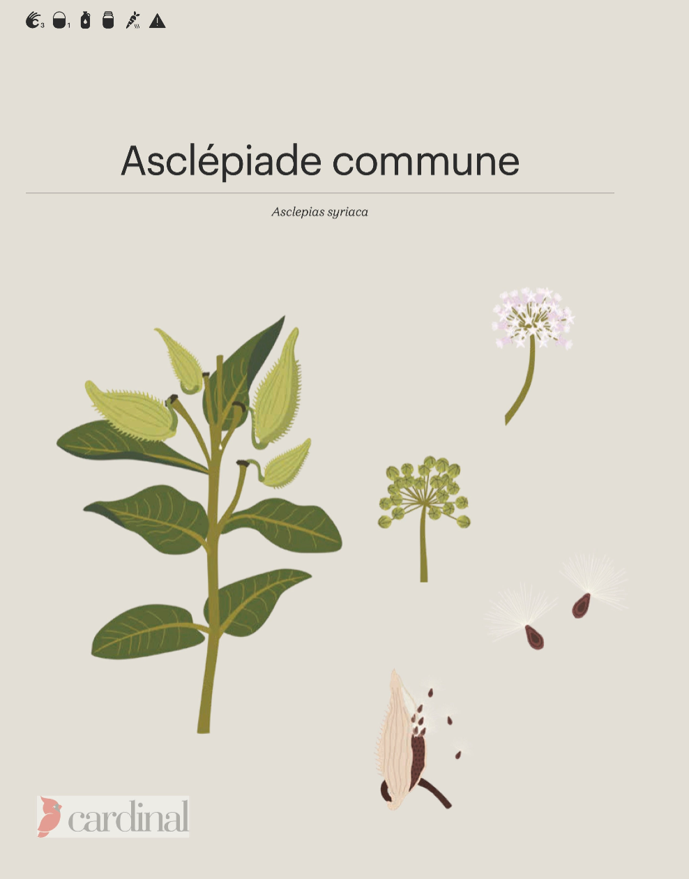 Forêt — Identifier, cueillir, cuisiner