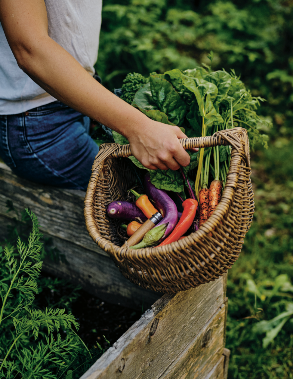 Dans mon jardin — Récoltez enfin l'abondance! [LIVRE NUMÉRIQUE]