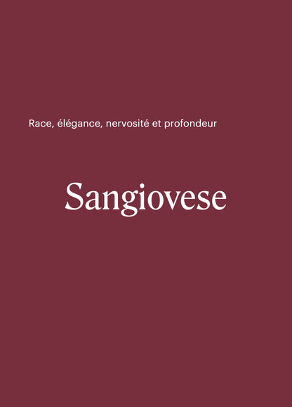 En accord — Cépages, recettes et prises de bec [LIVRE PAPIER]
