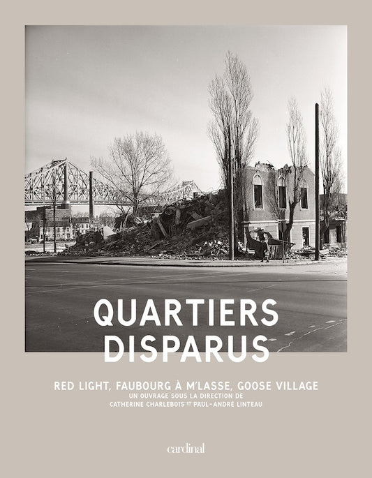 Disappeared neighborhoods. Red Light, Faubourg à m'lasse, Goose Village [PAPER]